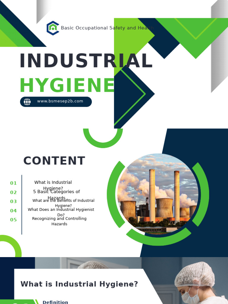 Industrial-Hygiene - 20241022 143158 0000 | PDF | Occupational Hygiene ...