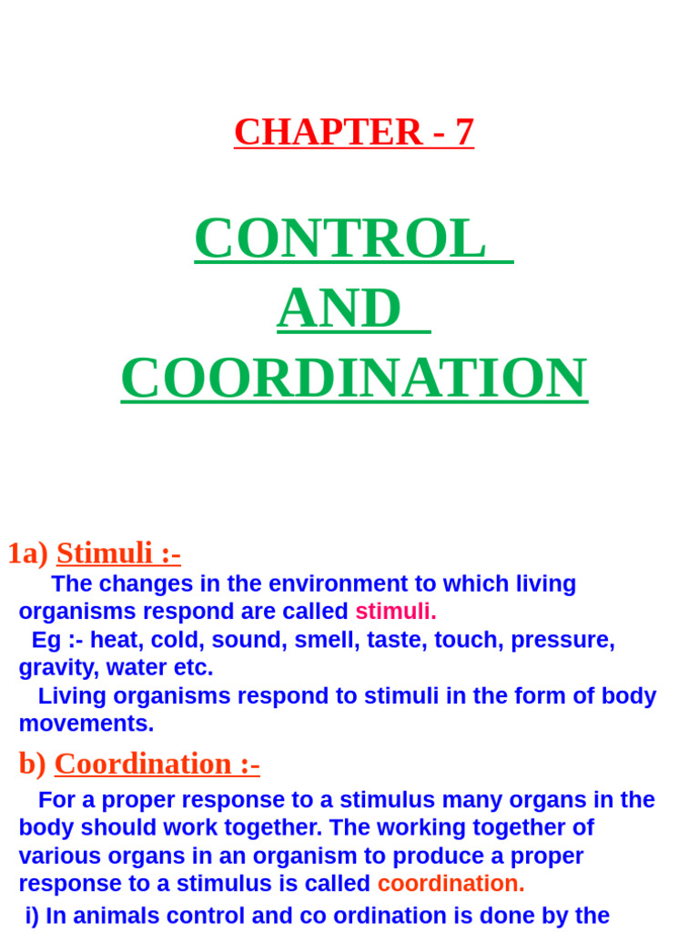 CONTROL AND COORDINATION KV Special | PDF | Central Nervous System ...