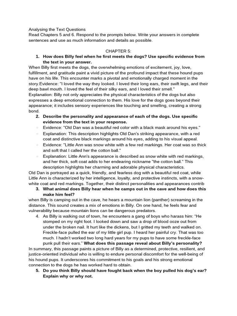 Novel PDF Raccoon Dogs