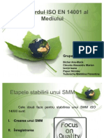 Standardele ISO 9001 Si 14001 - Grupa 6