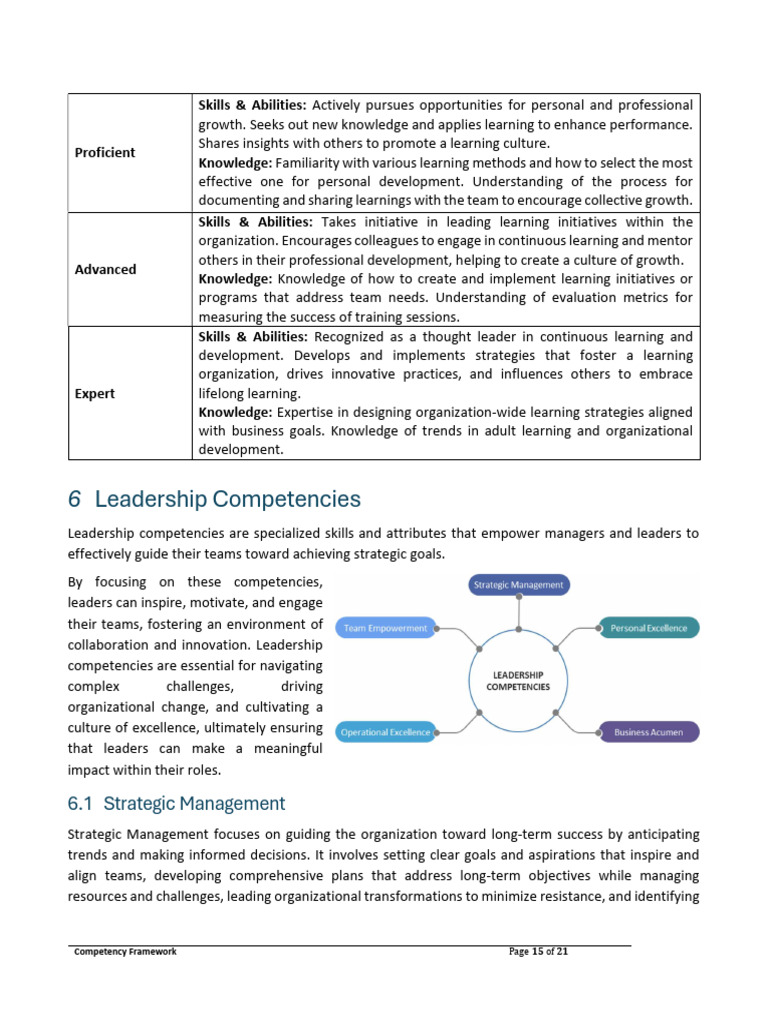 Competency Framework 5 Pdf Strategic Planning Mentorship