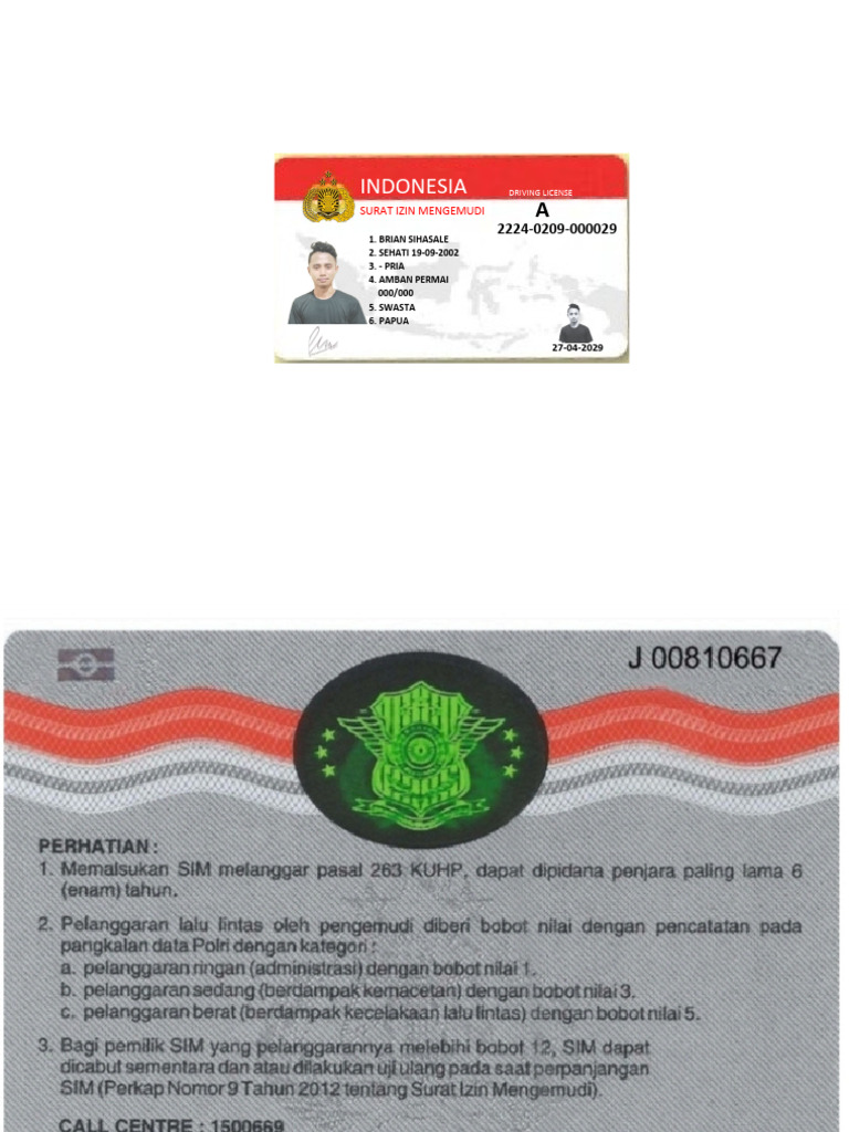 SIM Online - 20241111 - 105839 - 0000 | PDF