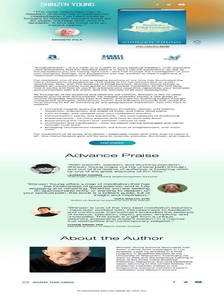 Shinzen Young | PDF