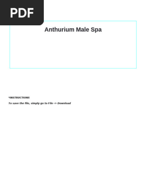 Spa Business Plan Template 