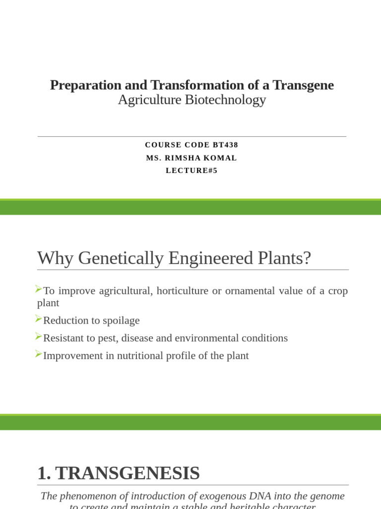 Transgene Preparation in Biotechnology | PDF | Molecular Cloning ...