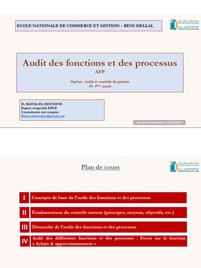 Audit des fonctions et processus 2024 | PDF | Audit | Contrôle interne