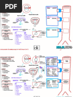 Ninja Nerd Spacial Embryology Notes | PDF