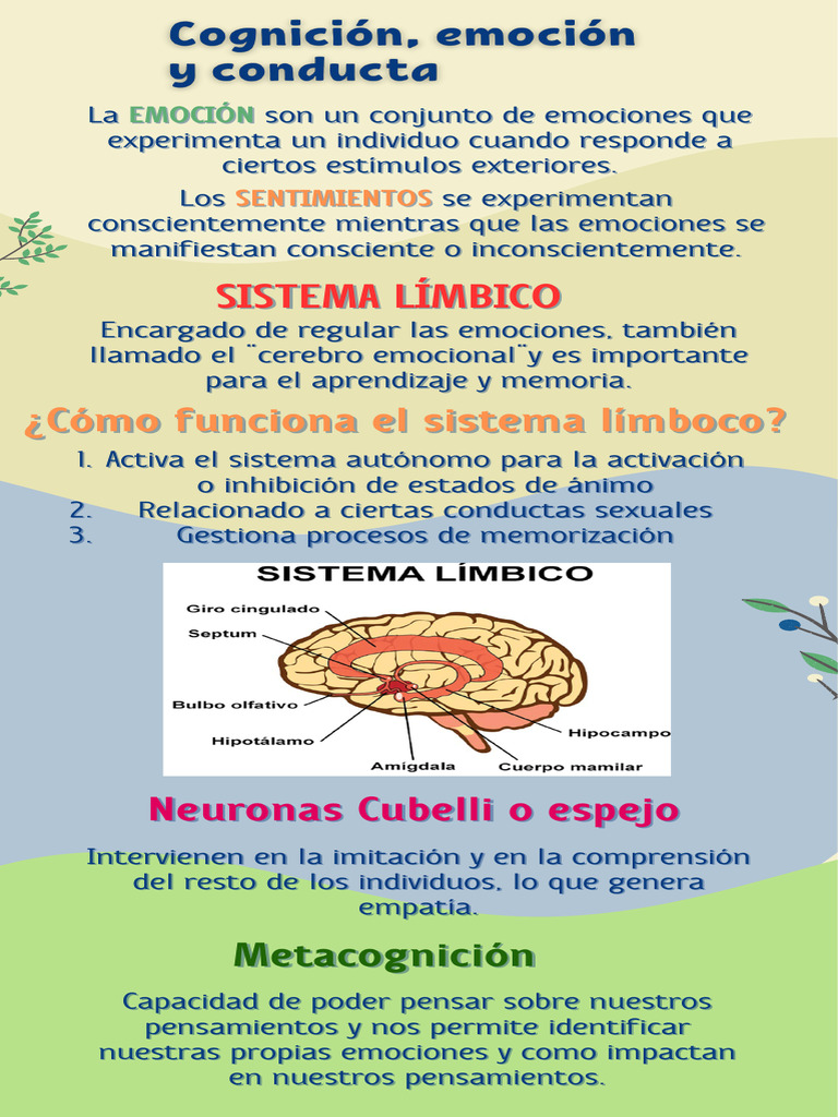 Emociones y su impacto en el cerebro | PDF | Crecimiento personal y ...