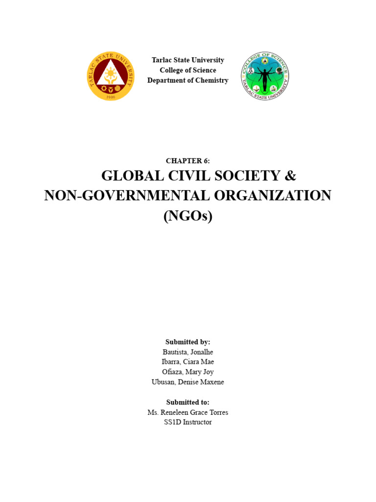 Global Civil Society and NGOs Overview | PDF | Non Governmental ...