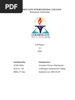 PDF Document