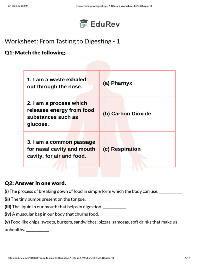 From Tasting To Digesting 1 Class 5 Worksheet EVS Chapter 3 PDF