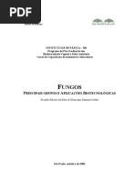 Reino Fungi