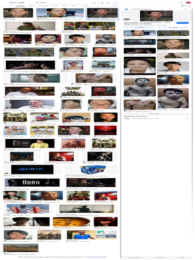 Fish Career | PDF | Facebook | Collective Intelligence