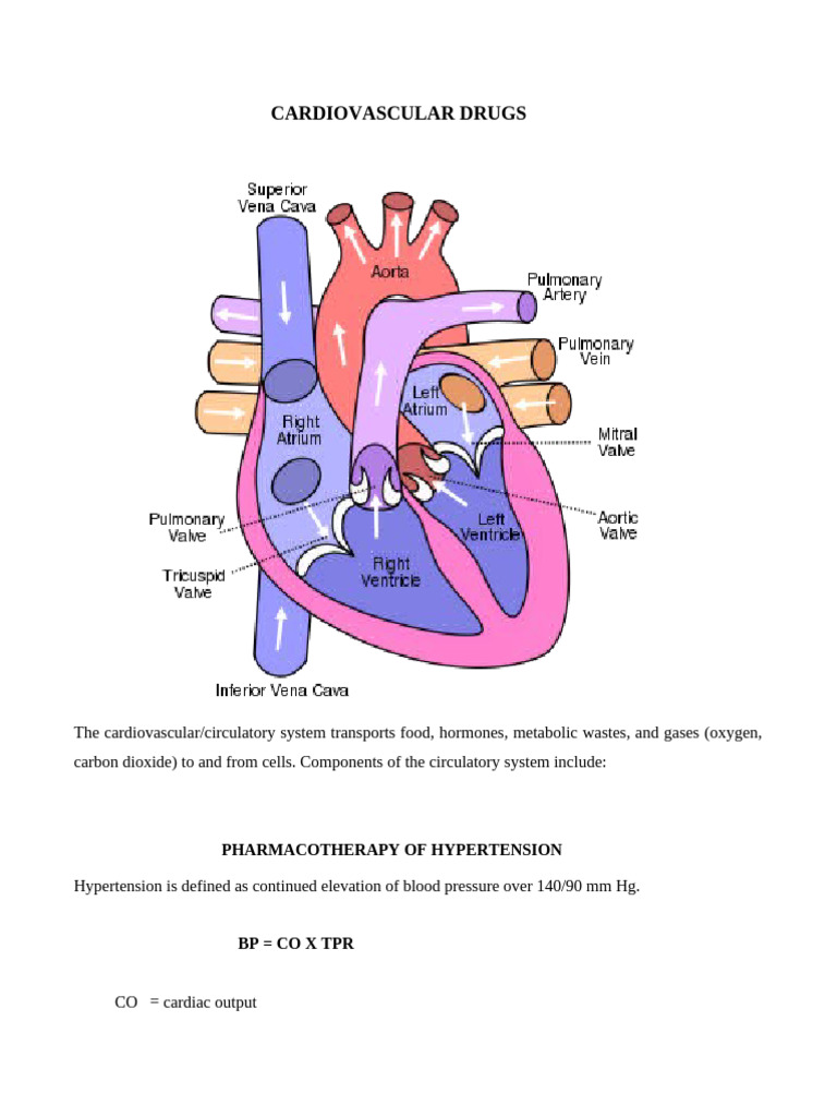 Cardiovascular Drugs | PDF | Hypertension | Heart Failure