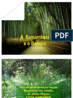 A samambaia e o bambu