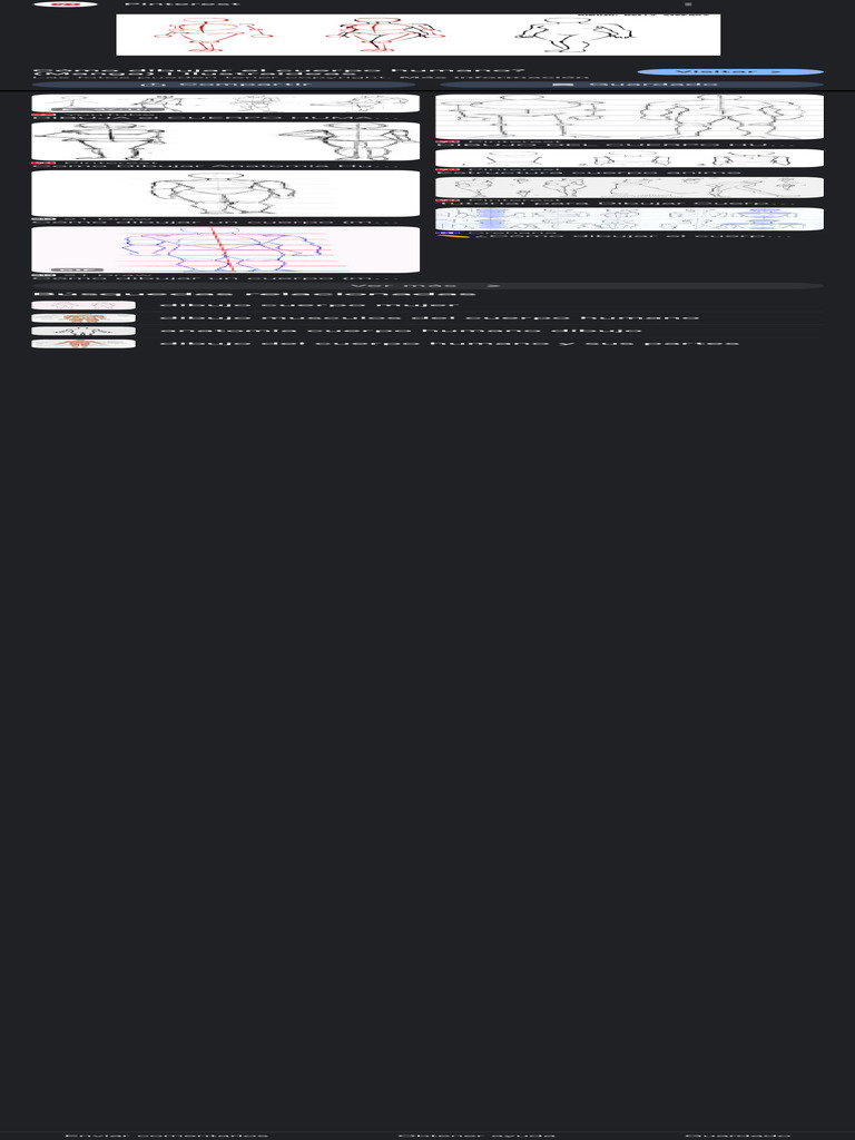Cuerpo Humano Cómo Dibujar A Personas - Buscar Con Google | PDF