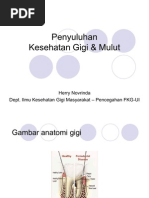 Download Penyuluhan Kesehatan Gigi amp Mulut by Arlan Pratama SN79342469 doc pdf