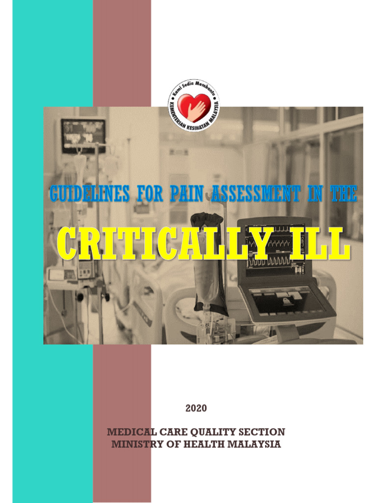 Guidelines For Pain Assessment in The Critically ILL (2020) | PDF ...