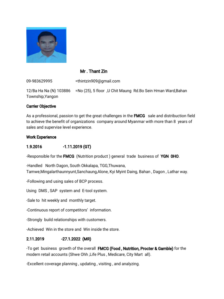 FMCG Sales Professional Resume | PDF