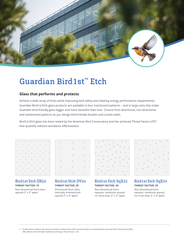 Bird1st Etch Glass: Collision Avoidance Solutions | PDF | Building ...
