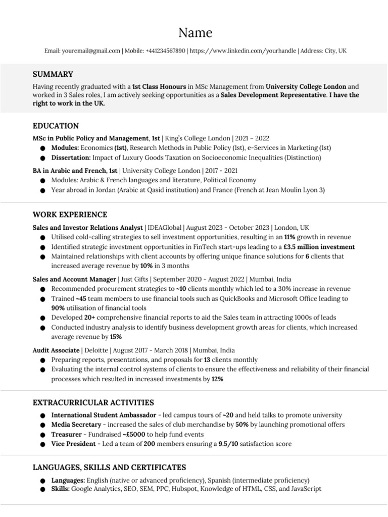 International Sales CV Template | PDF | Investing | Economies