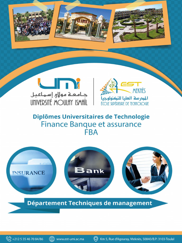 DUT en Finance Banque et Assurance | PDF | Banques | Comptabilité