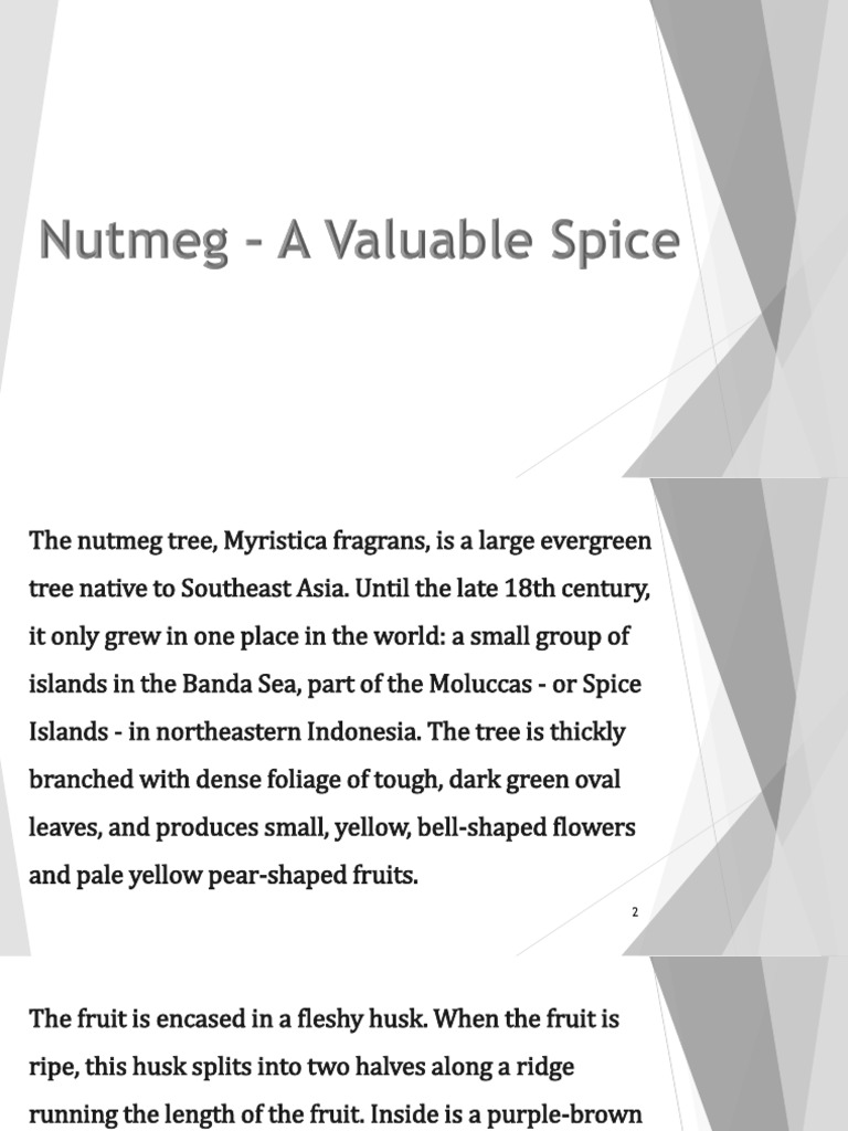 Nutmeg: History and Global Trade | PDF | Nutmeg | Spice