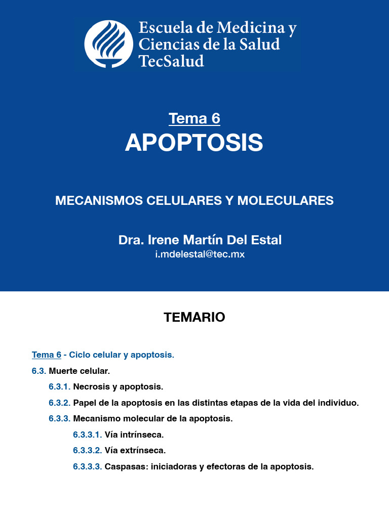 6 2-Apoptosis | PDF | Apoptosis | Bcl 2
