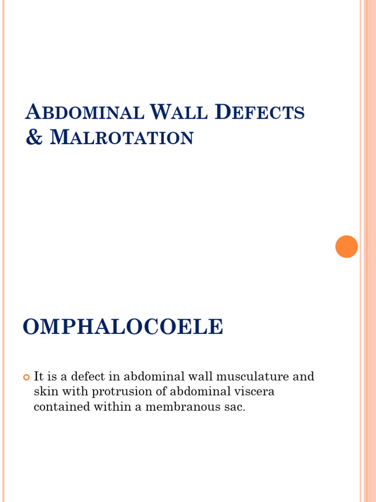 Abdominal Wall Defects Overview | PDF | Gastrointestinal Tract ...
