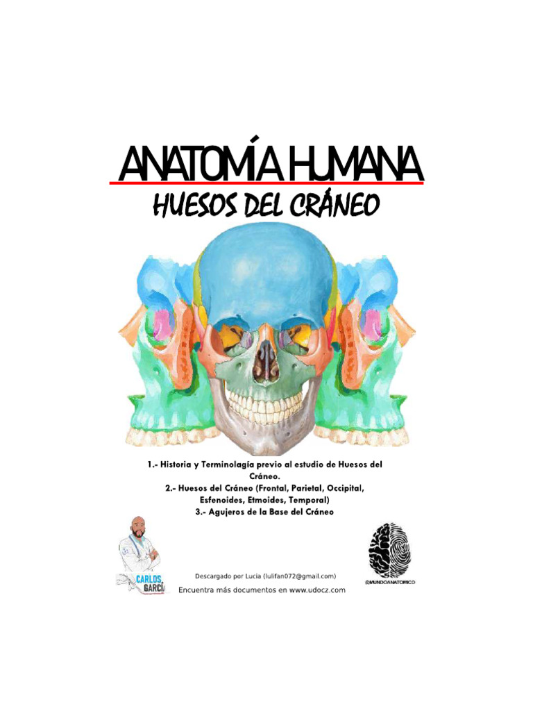 Apuntes de Medicina Vol 1 | PDF