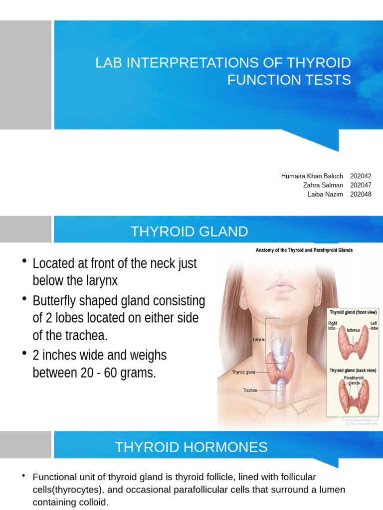 Thyroid Function Test Interpretations | PDF | Thyroid | Thyroid ...