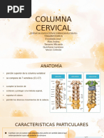 Anatomía y Función de la Columna Lumbar | PDF | La columna vertebral ...