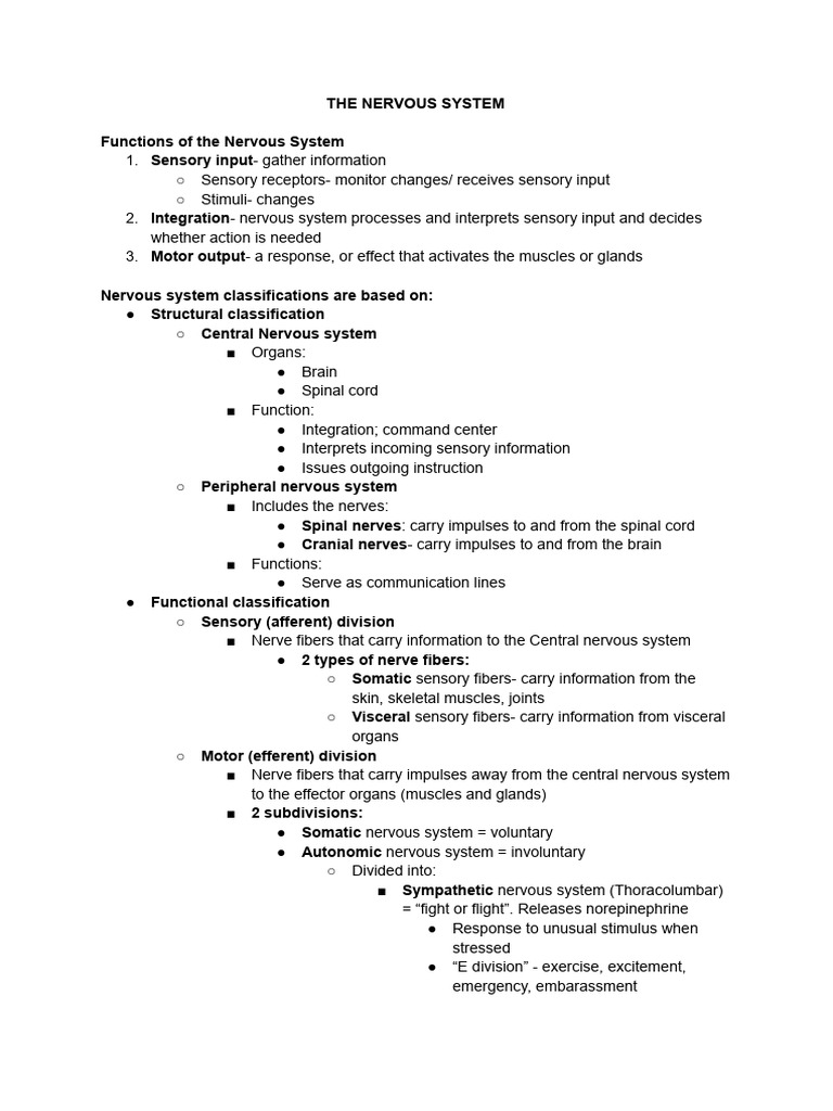 Overview of the Nervous System Functions | PDF | Neuron | Axon