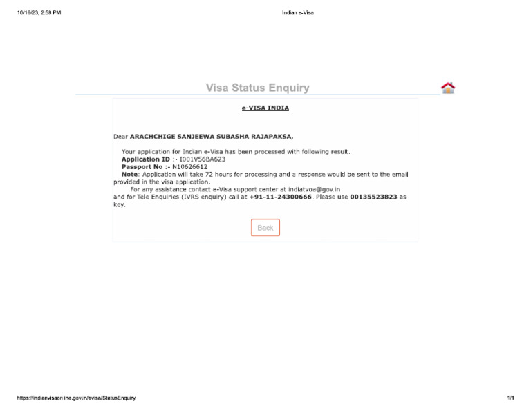 E Visa Status Inquiry | PDF