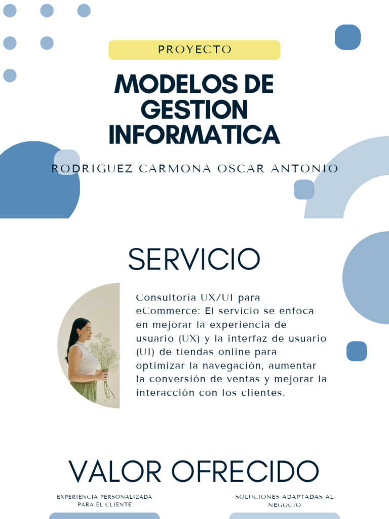 Modelos de Gestión Informática | PDF | Comercio electrónico | Usabilidad