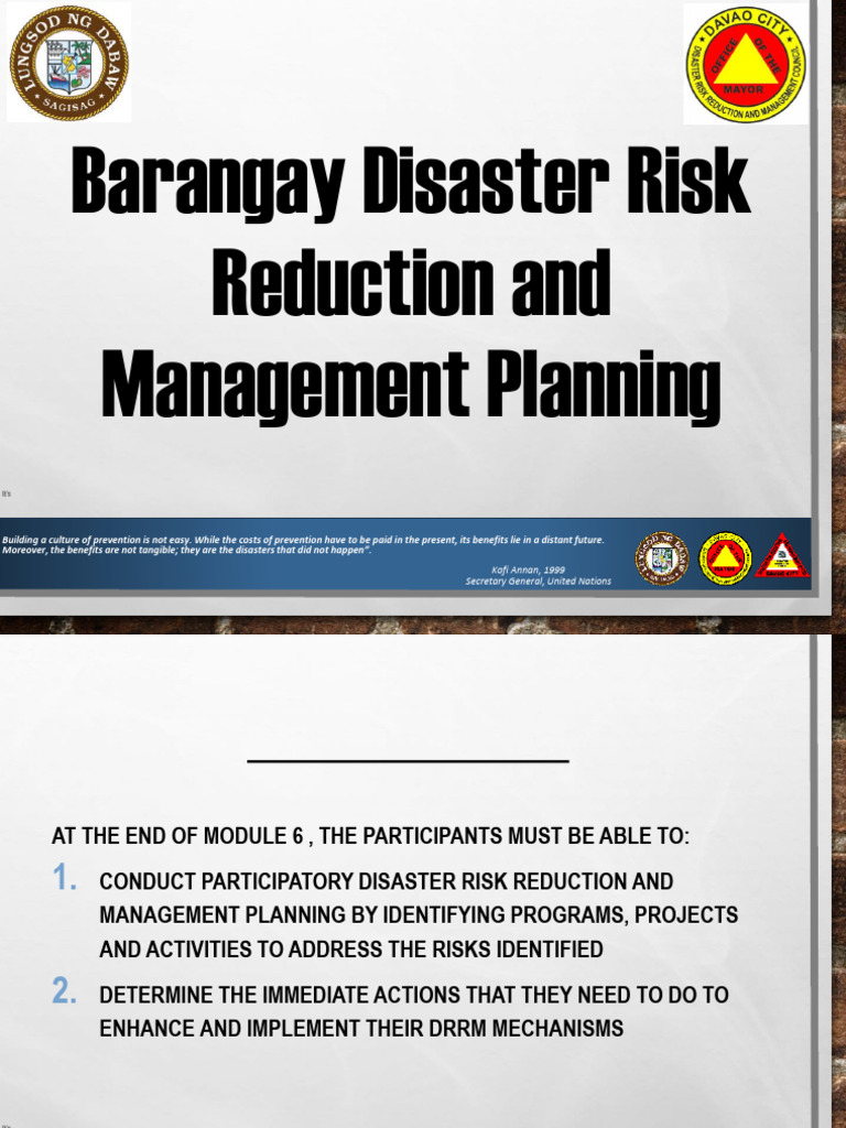6 BDRRM Planning | PDF | Emergency Management | Disaster Risk Reduction