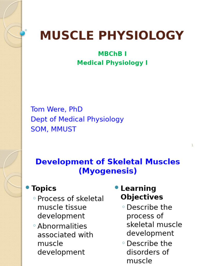 Myogenesis - Skeletal Muscle Development - TWERE2 | PDF | Muscular ...