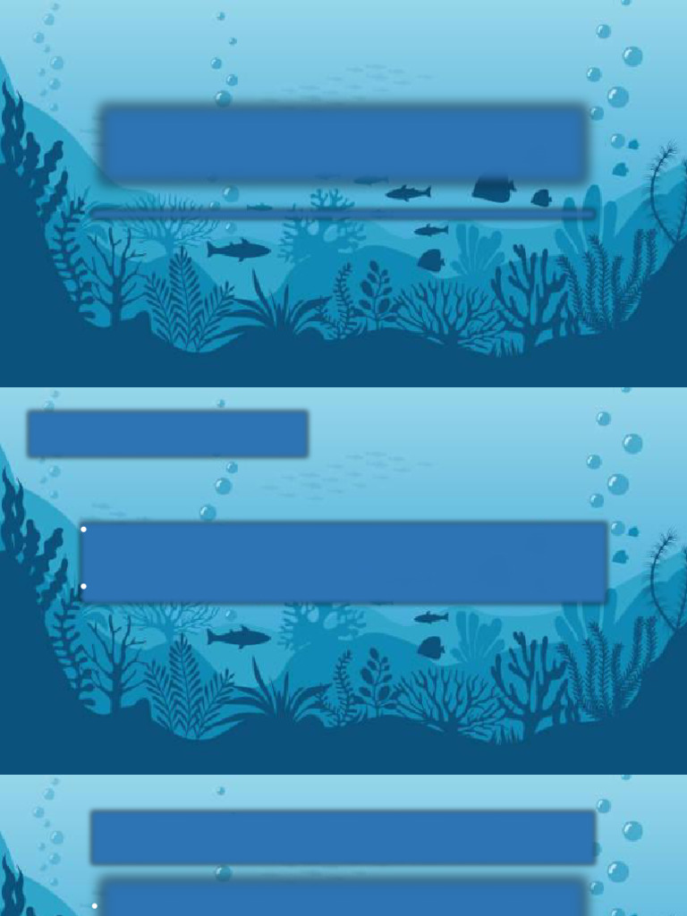 Explain The Basis For Classification of Finfish | PDF | Fish | Skeleton