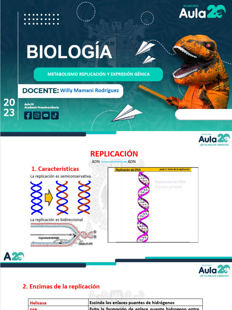 Replicación y Expresión Génica | PDF | Replicación De Adn | Adn