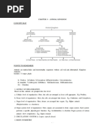 Class 11 Animal Kingdom Overview | PDF | Sponge | Biology