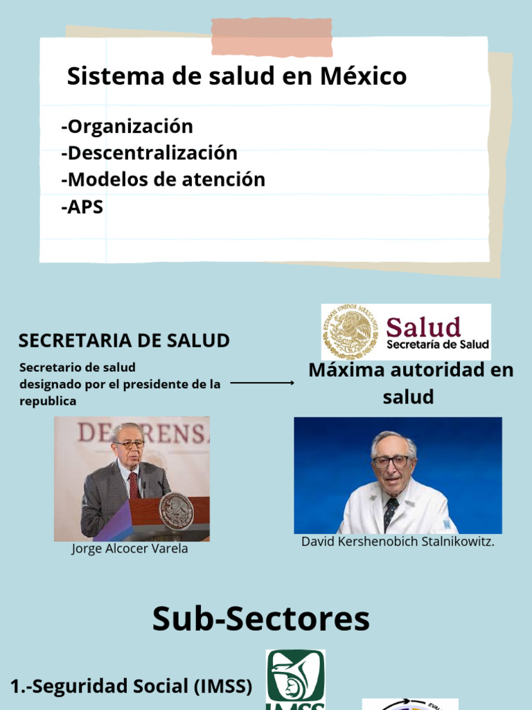 Estructura del Sistema de Salud en México | PDF | Sistema de salud ...