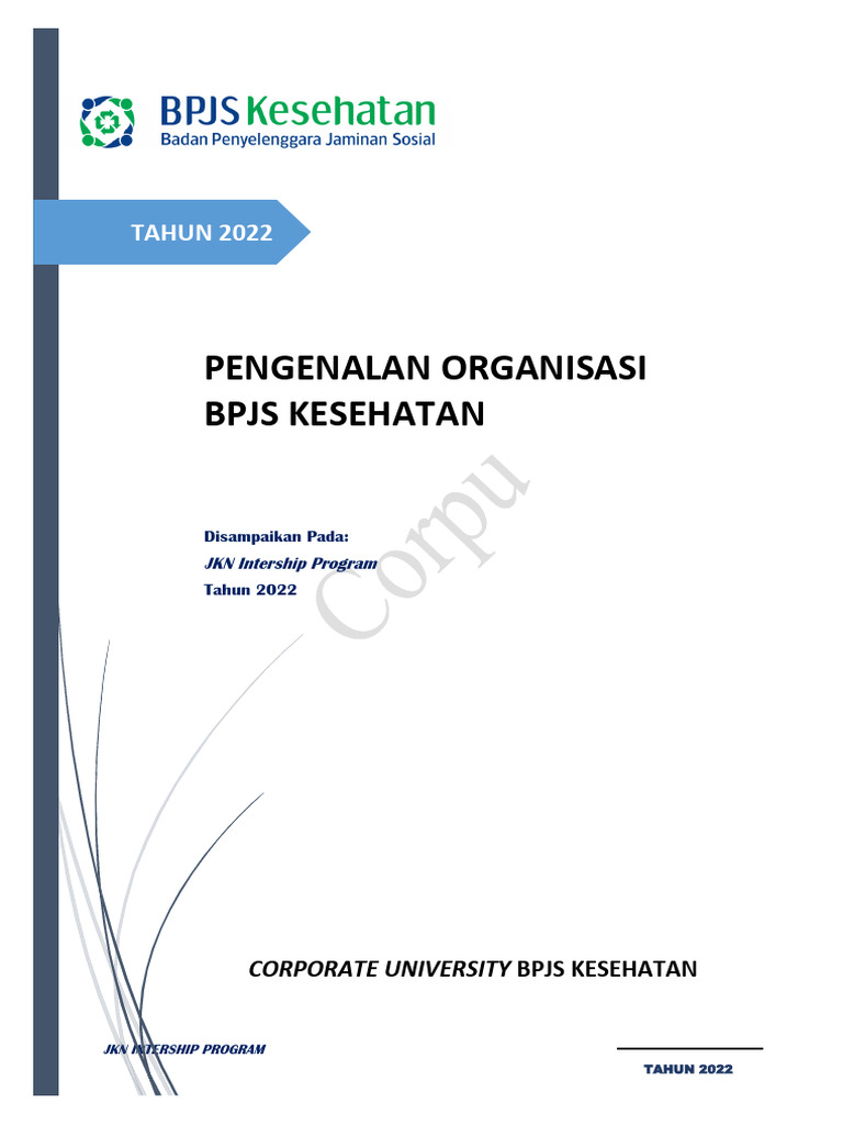 Struktur Organisasi BPJS Kesehatan 2022 | PDF