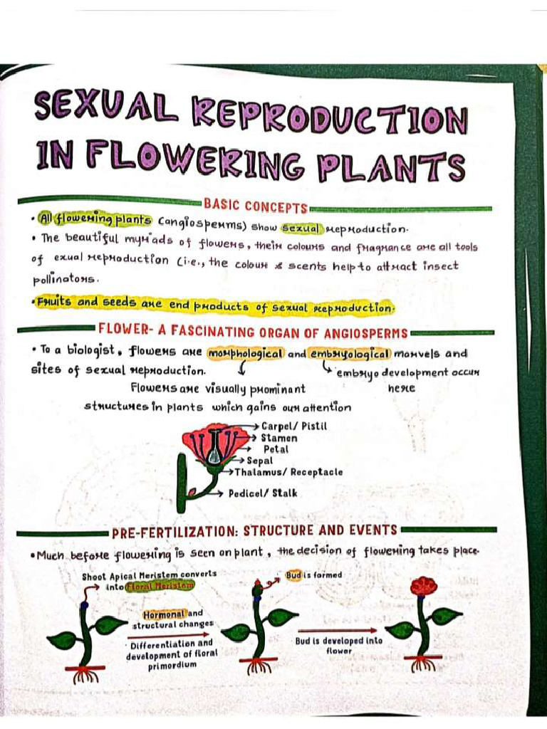 Sexual Reproduction in Flowering Plant | PDF