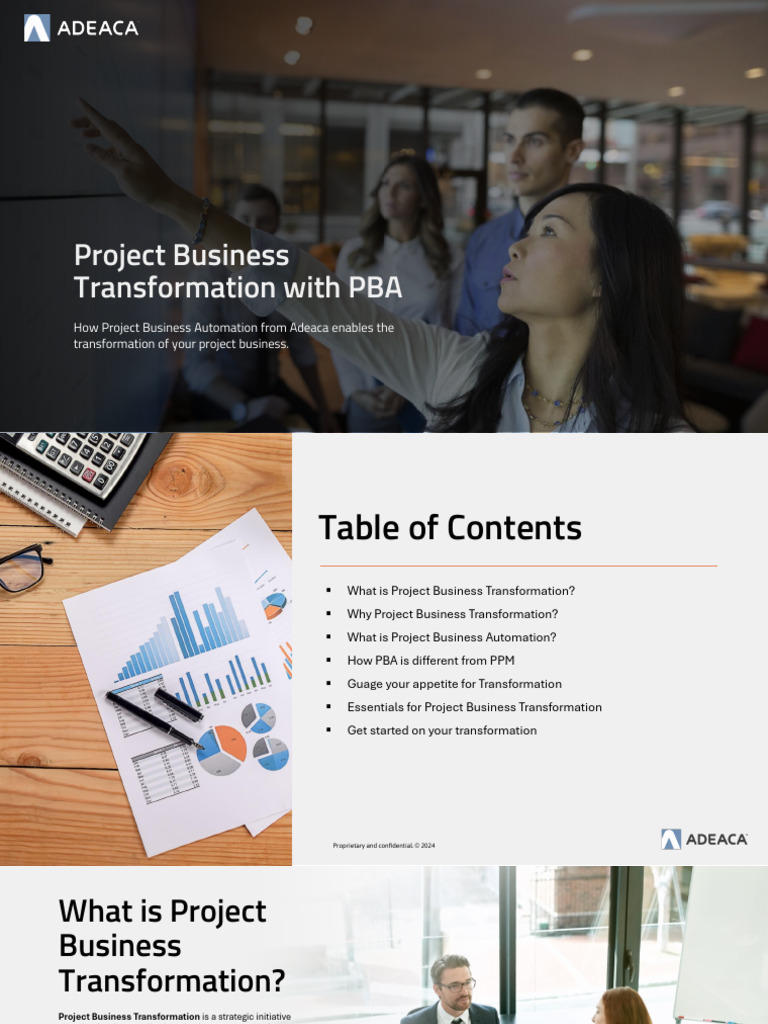 Project Business Automation Overview | PDF | Program Optimization ...