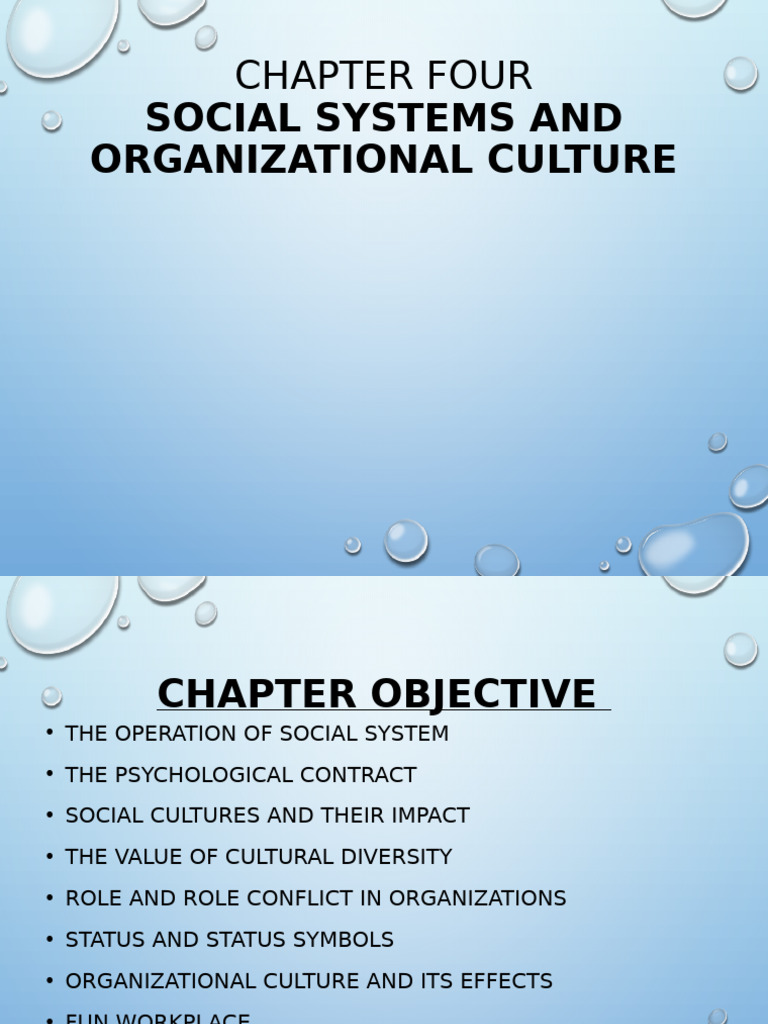 Social Systems and Organizational Culture | PDF | Organizational ...