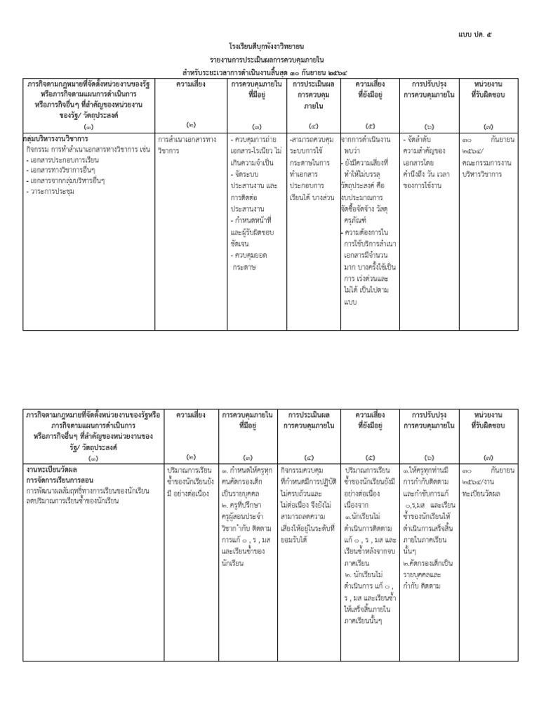 รายงานการตรวจสอบภายใน | PDF