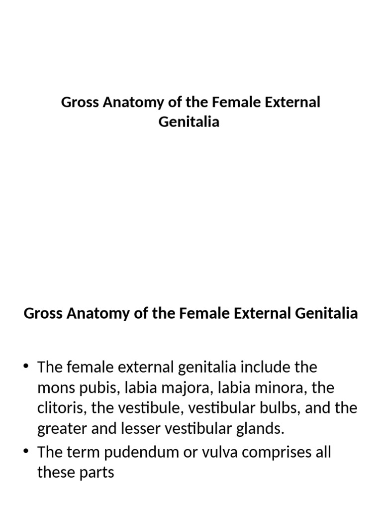 Overview of The Female External Genitalia | PDF | Clitoris | Labia