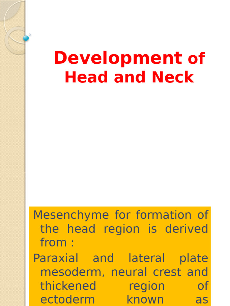 Head and Neck Mesenchyme Development | PDF | Larynx | Anatomy