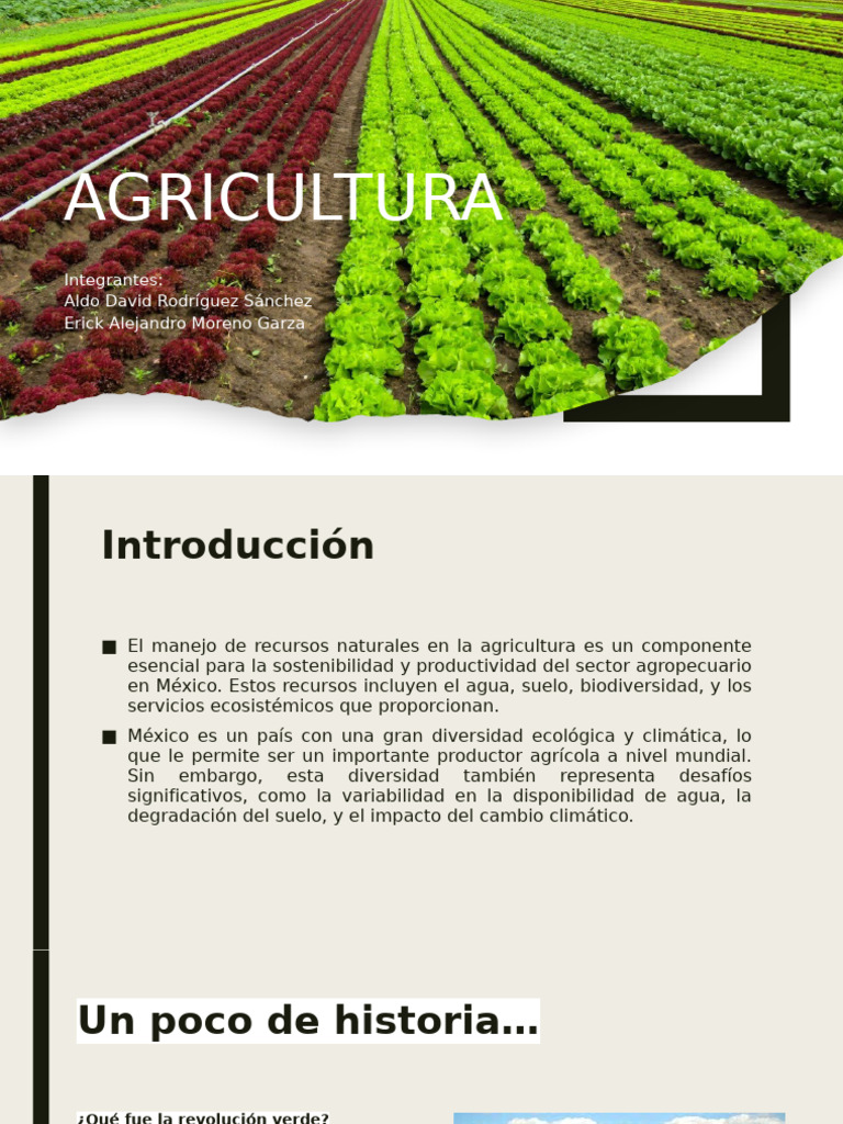 Agricultura Pdf Agricultura Organismo Genéticamente Modificado