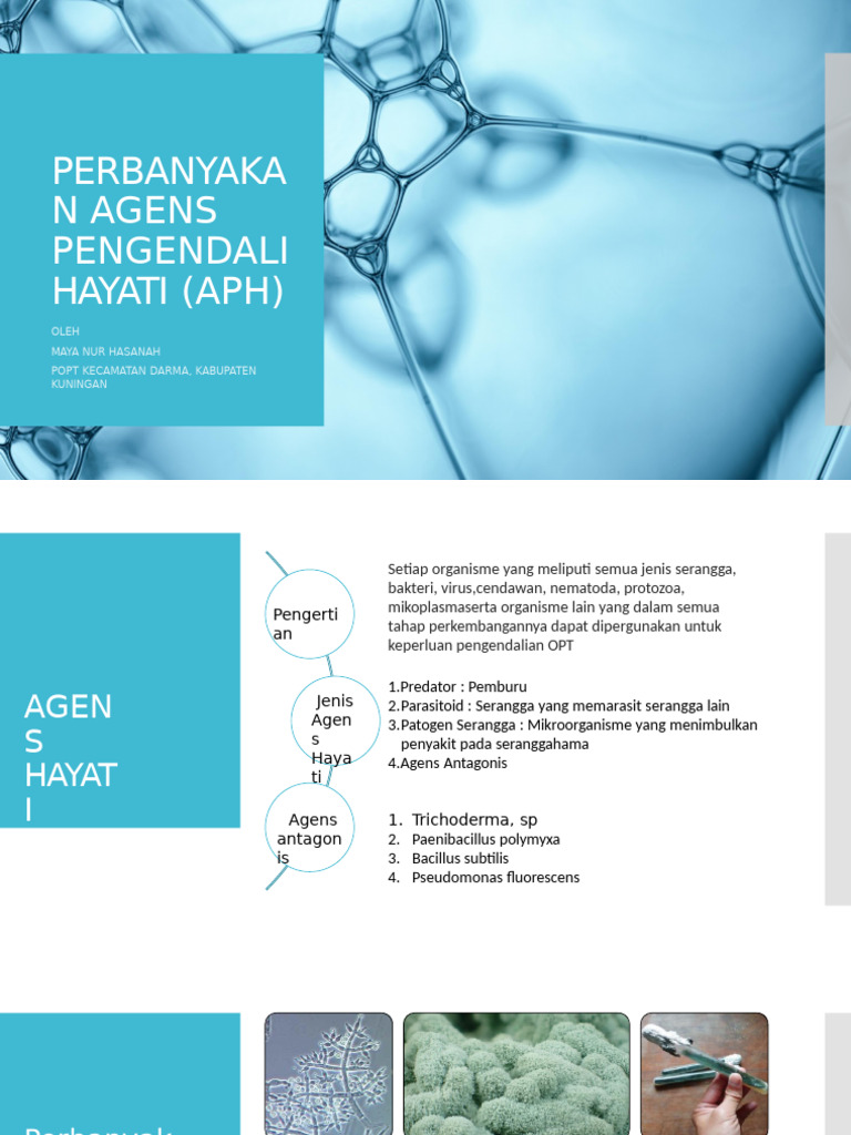 POPT | PDF